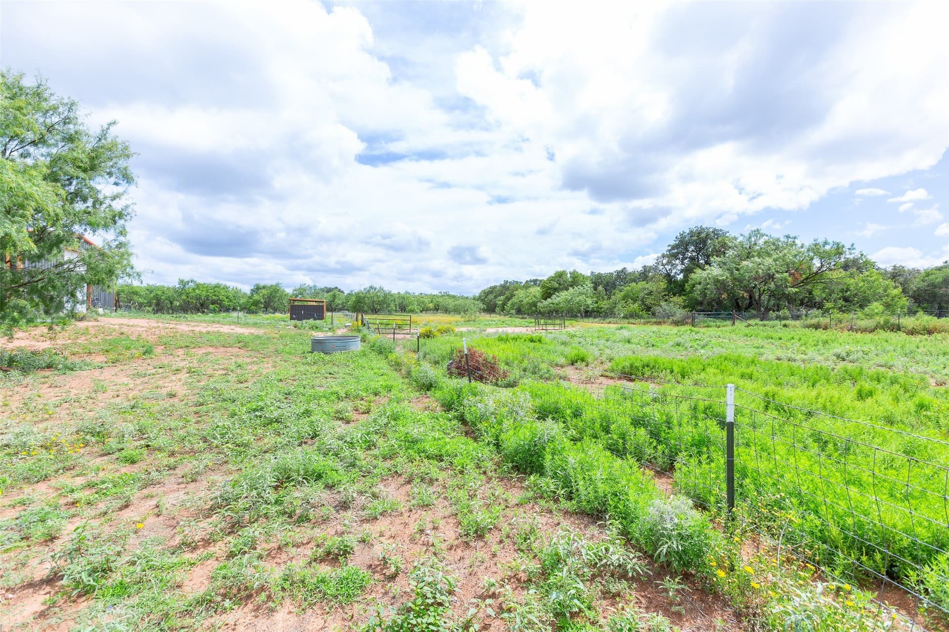 10.43 acres in Taylor County - photo 16