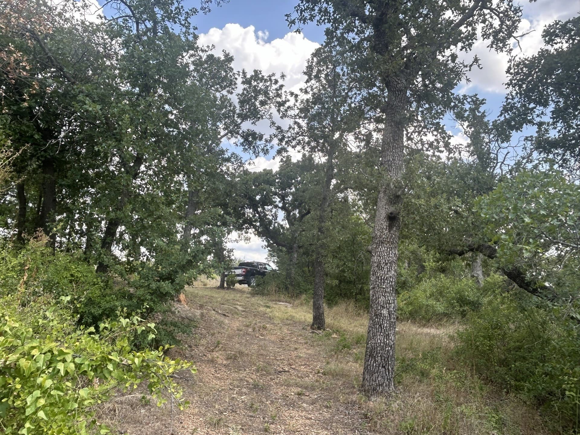 1.82 acres in Young County - photo 5