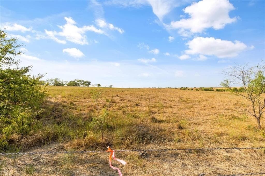 232 acres in Hill County gallery image 4