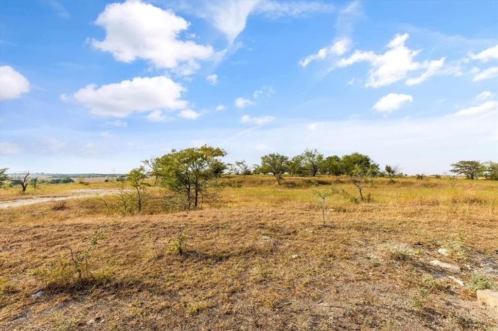 232 acres in Hill County gallery image 3