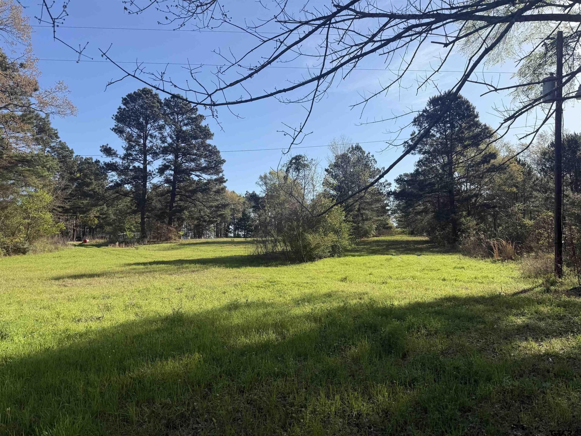 10 acres in Smith County - photo 14
