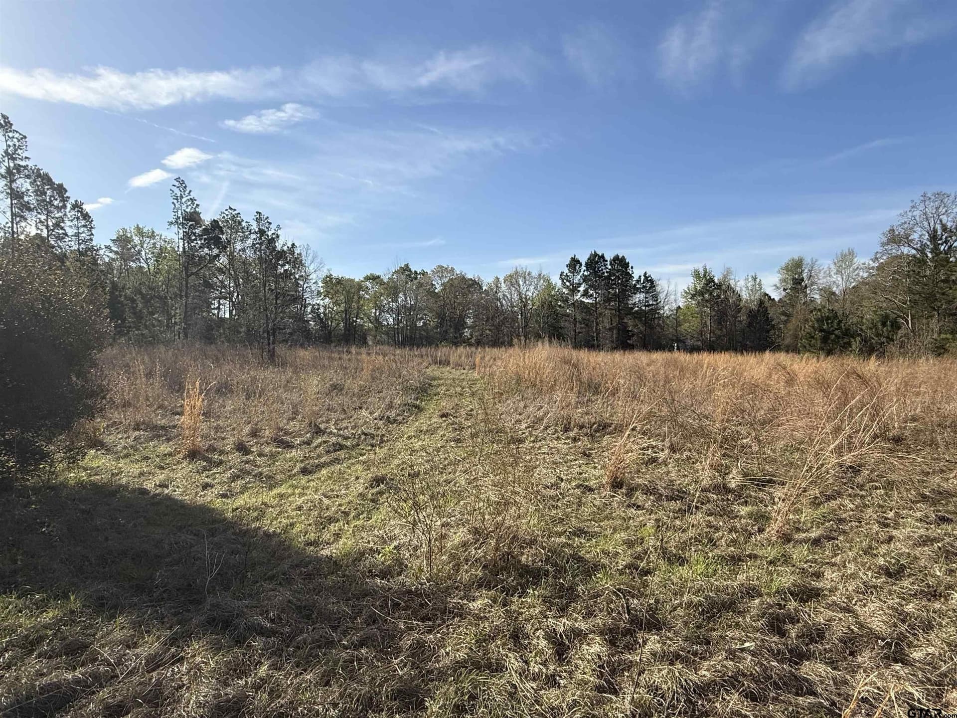 10 acres in Smith County - photo 7