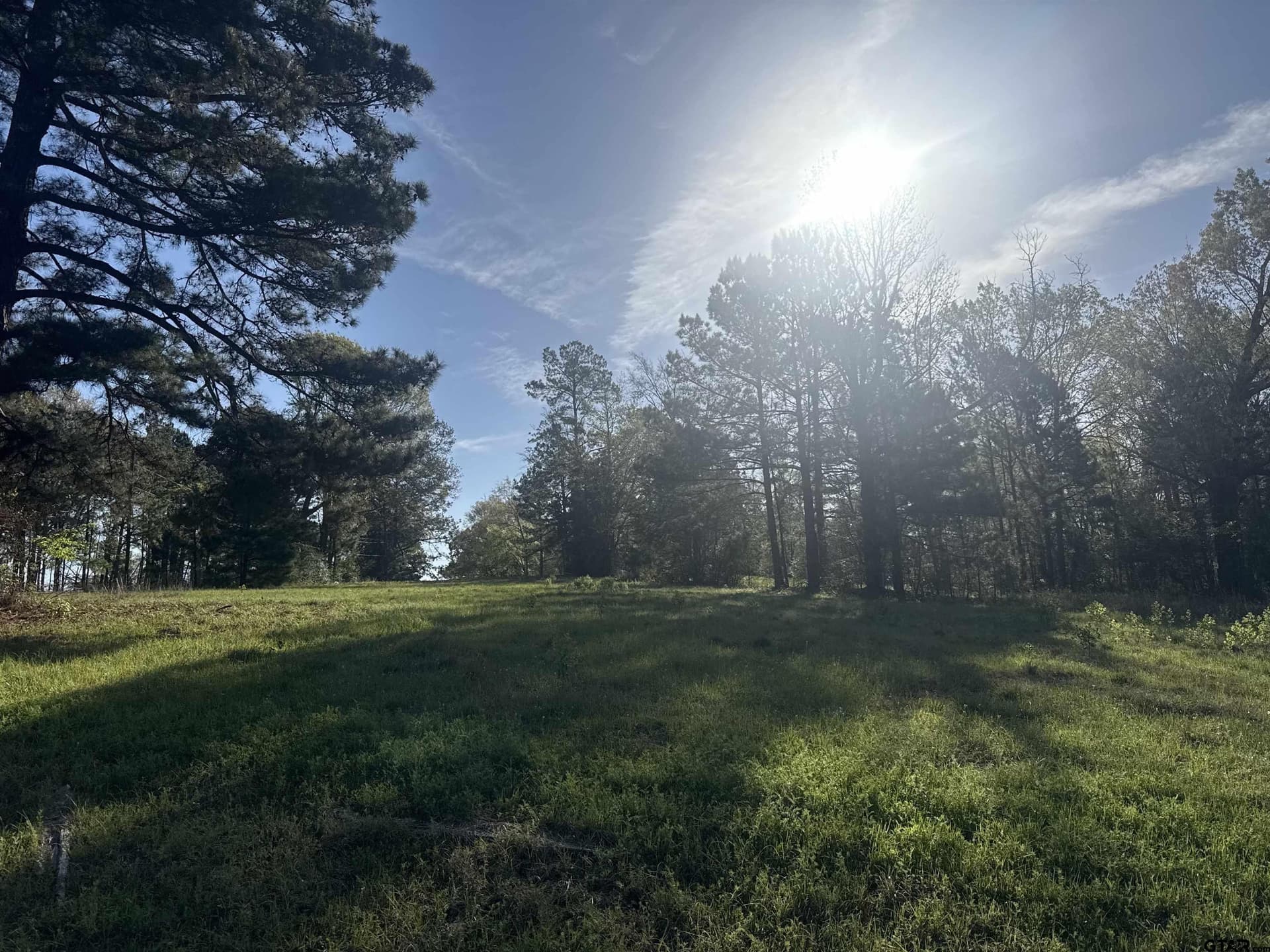 10 acres in Smith County - photo 4