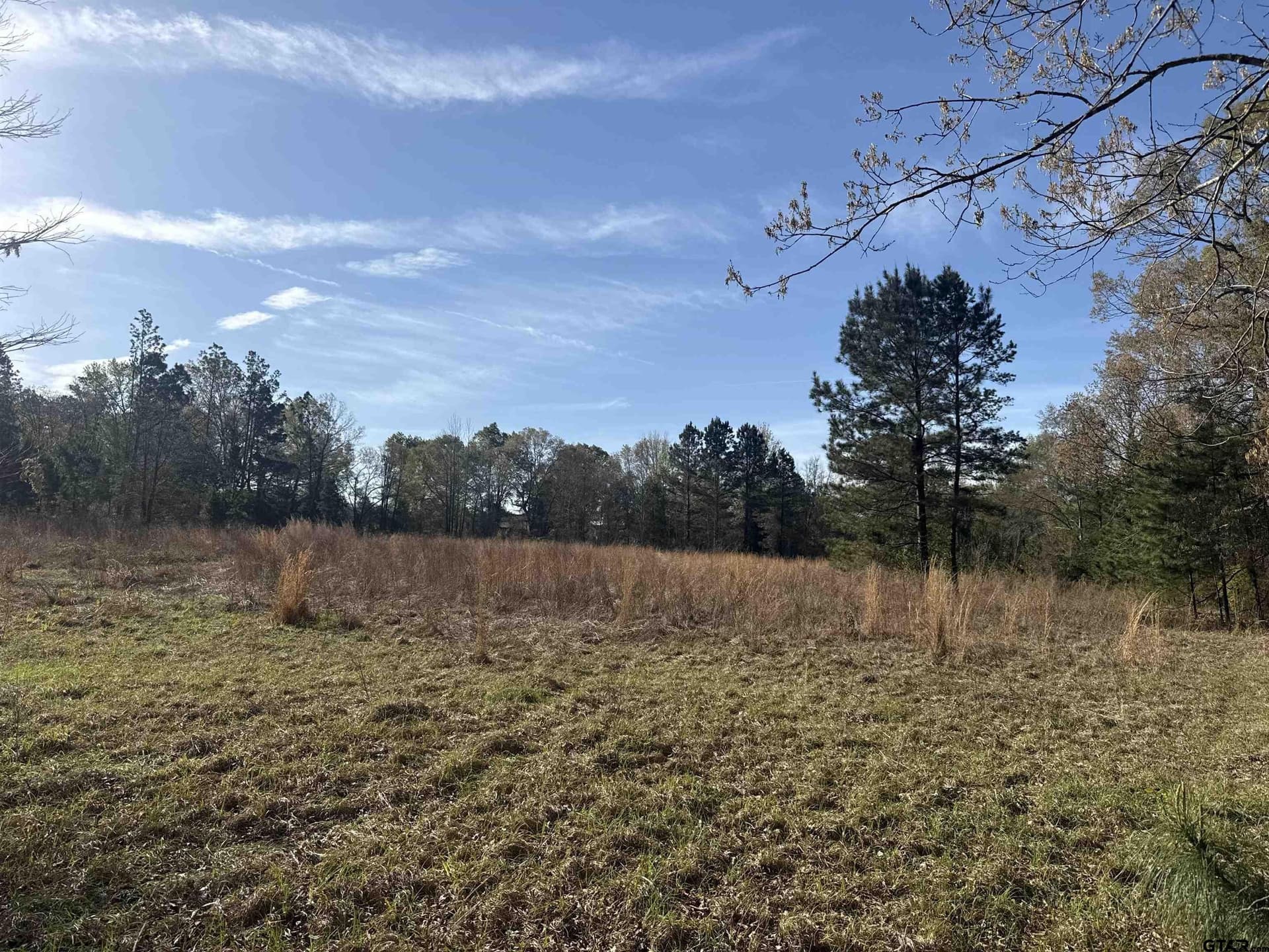 10 acres in Smith County - photo 12