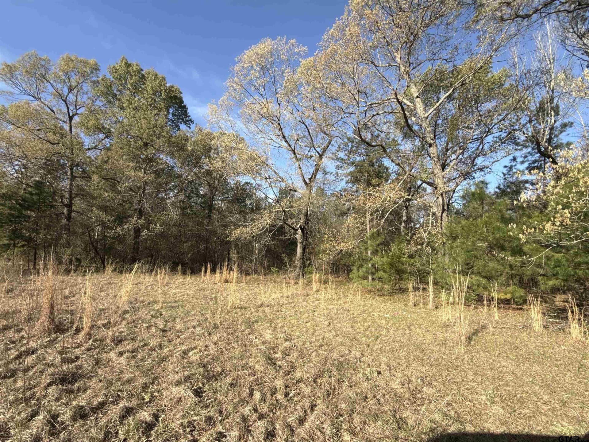 10 acres in Smith County - photo 9