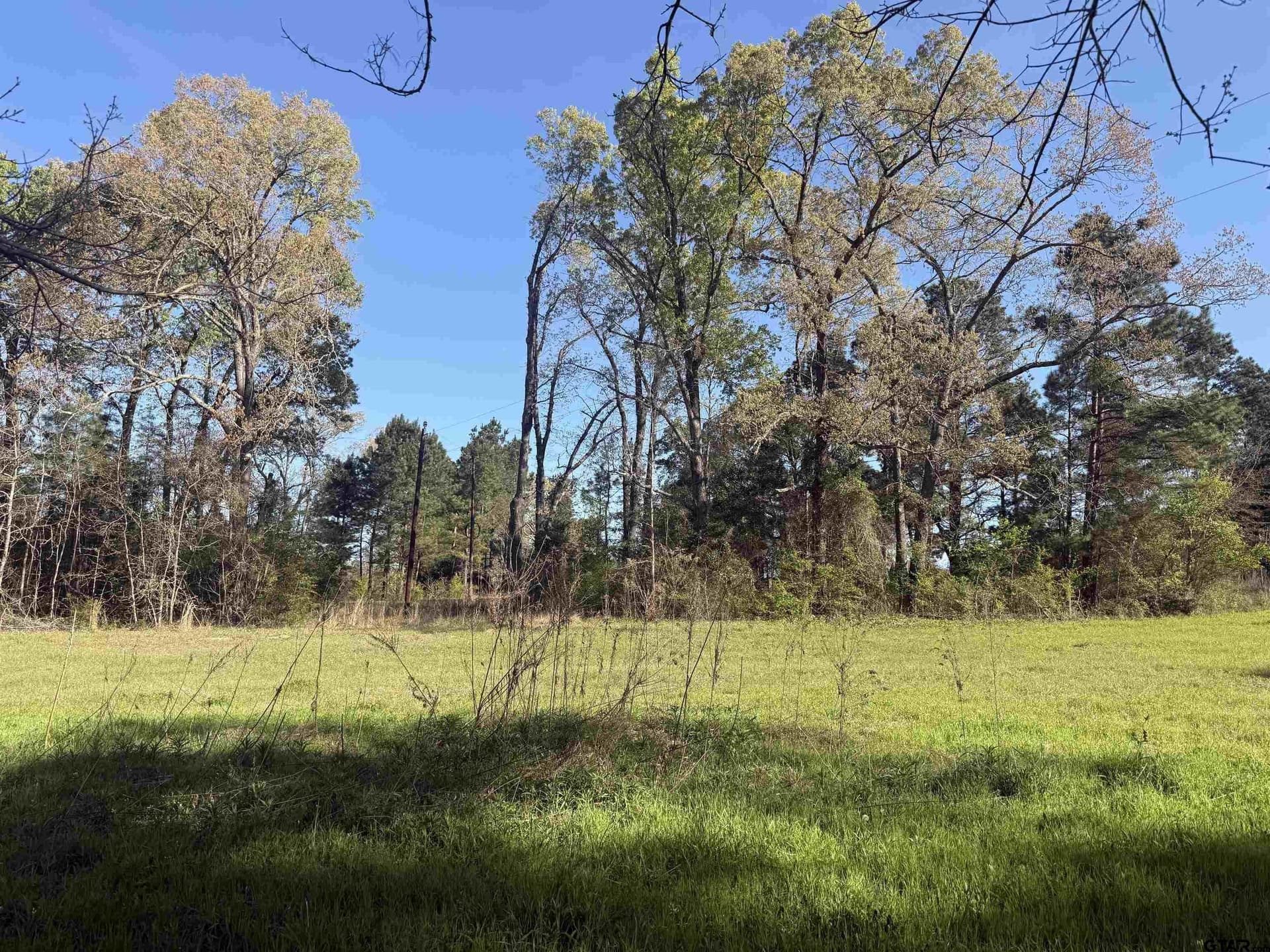 10 acres in Smith County - photo 13