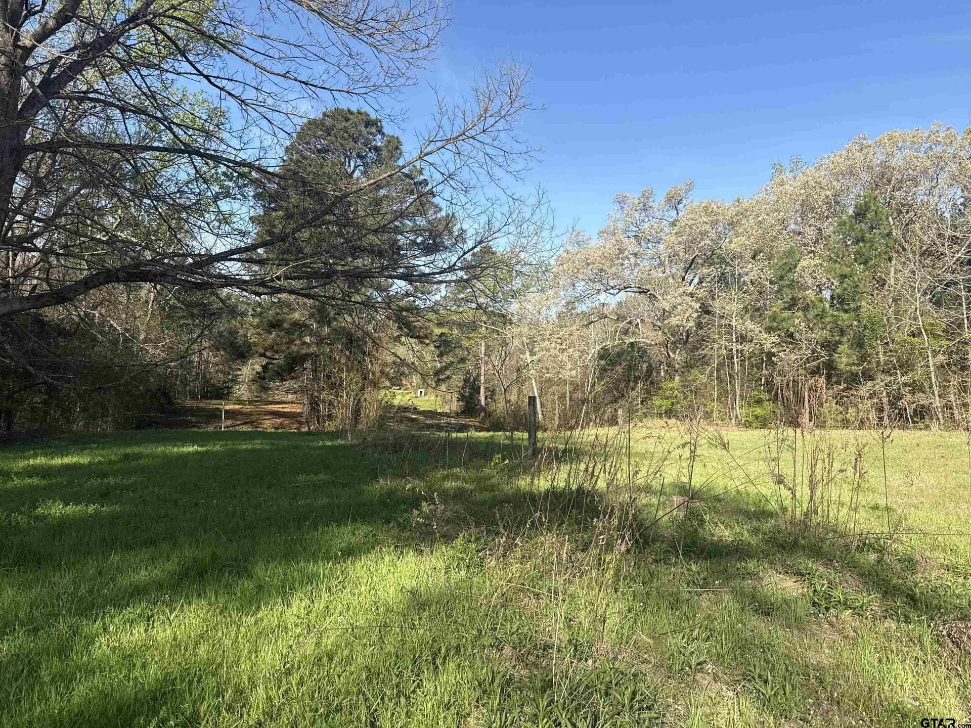 10 acres in Smith County - photo 17