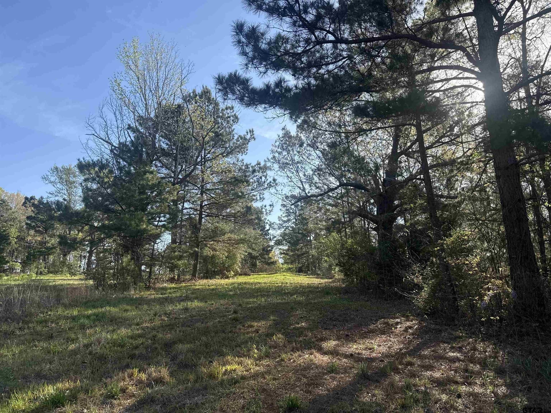 10 acres in Smith County - photo 5