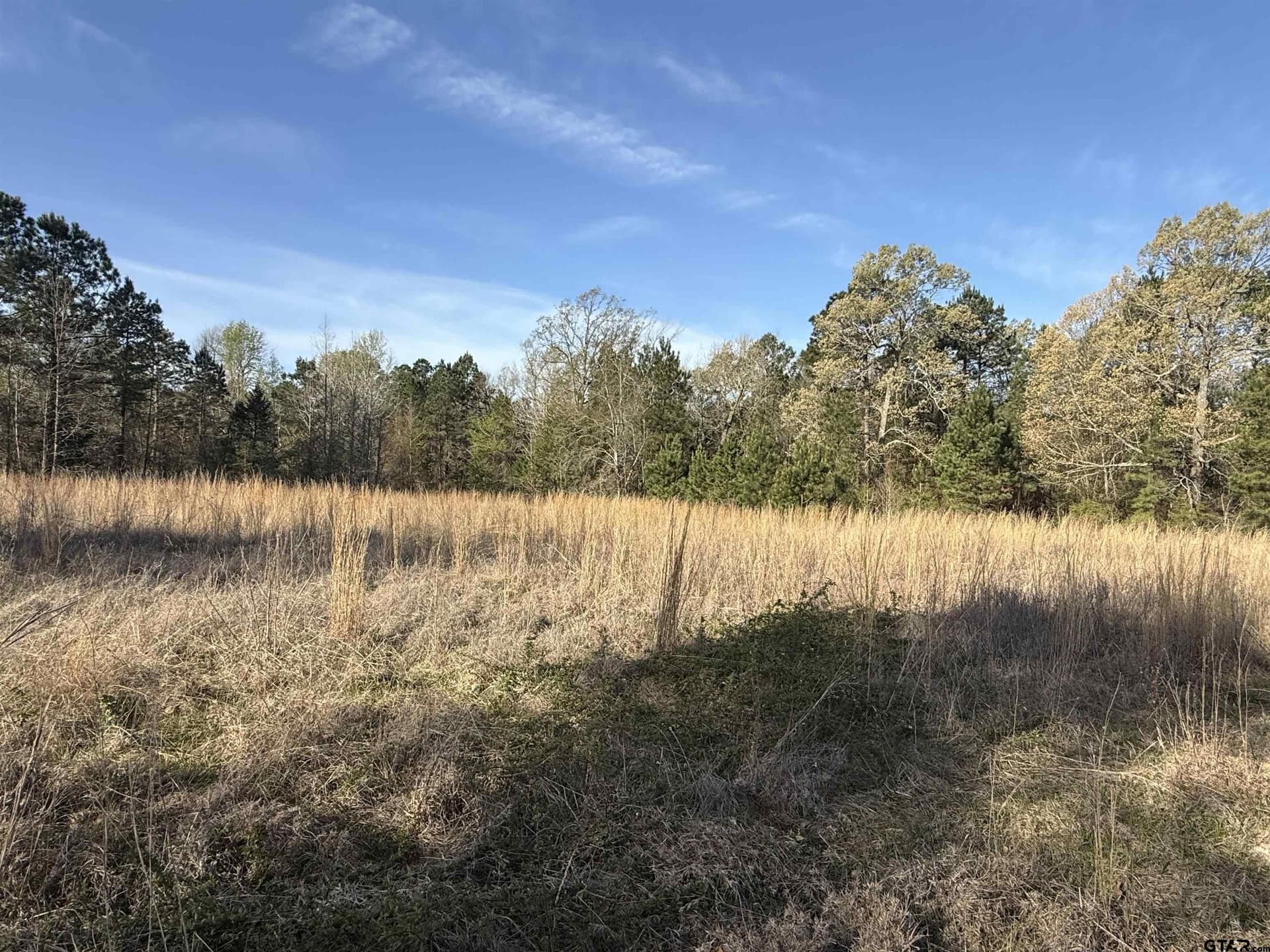 10 acres in Smith County - photo 8