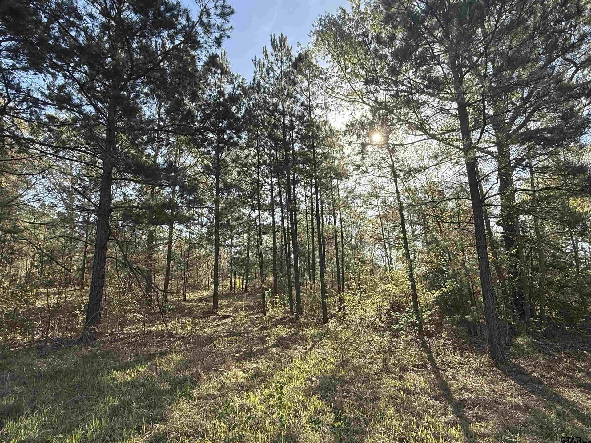 10 acres in Smith County - photo 6