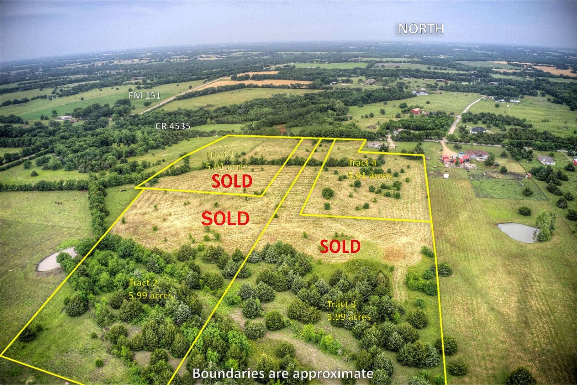 5.01 acres in Fannin County gallery image 2