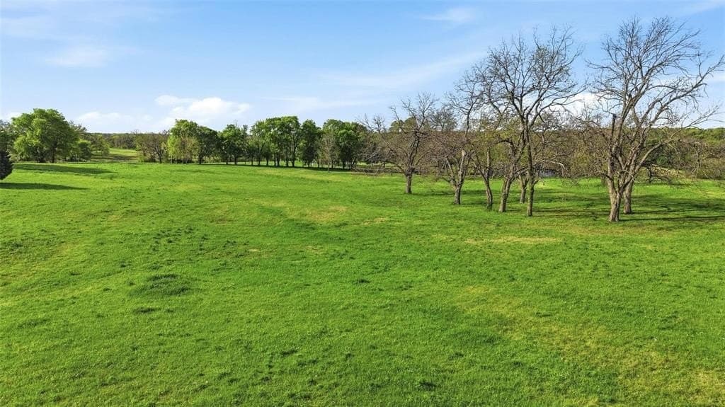 37.93 acres in Grayson County gallery image 4