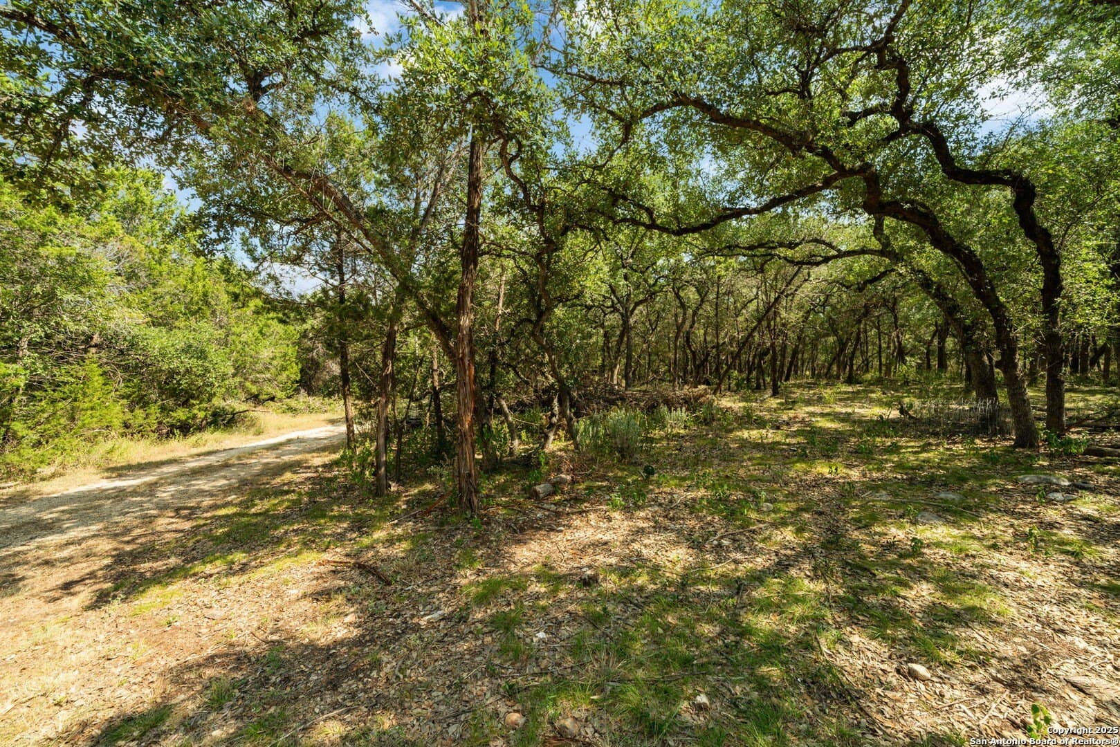 3.27 acres in Comal County featured view