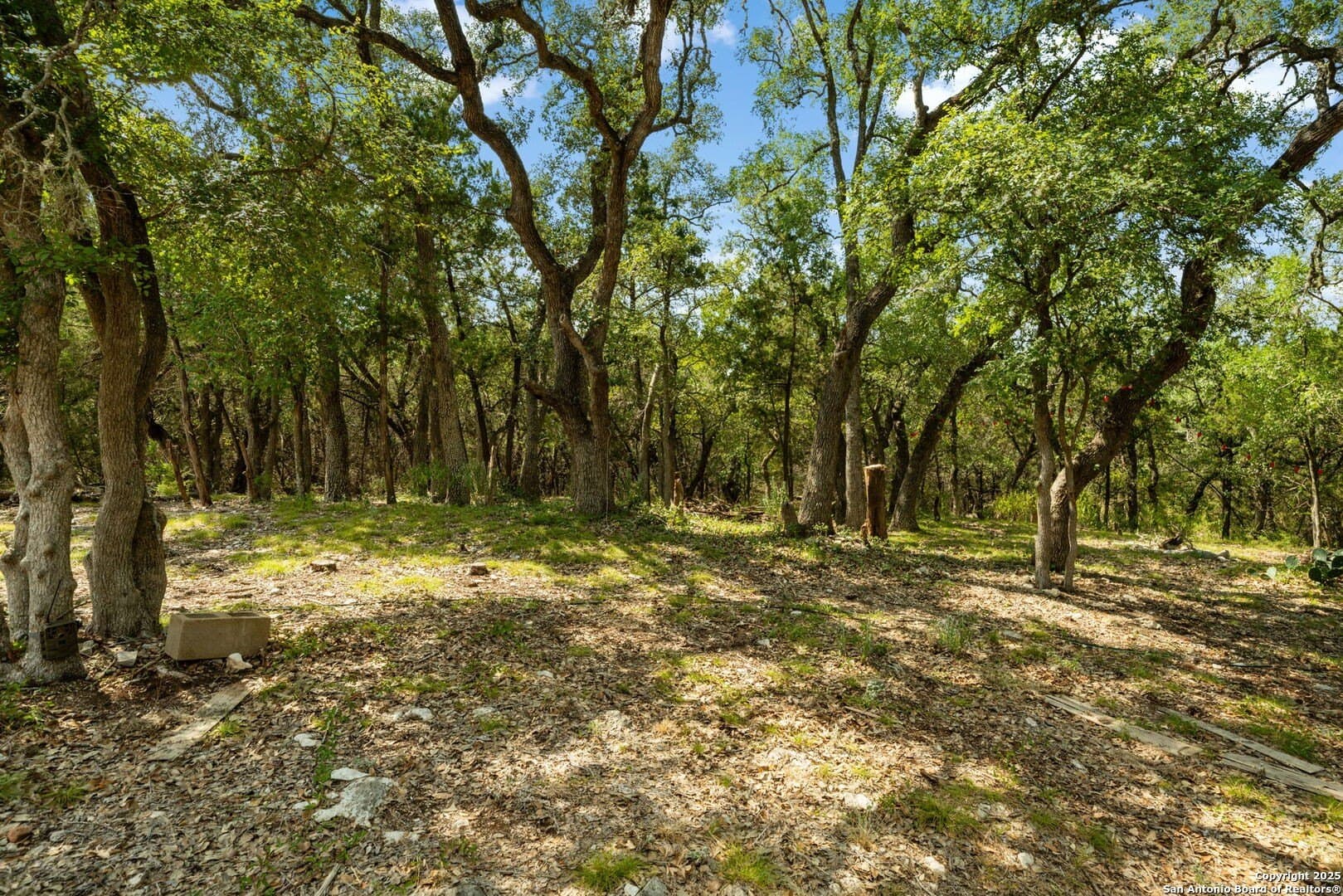 3.27 acres in Comal County - photo 6