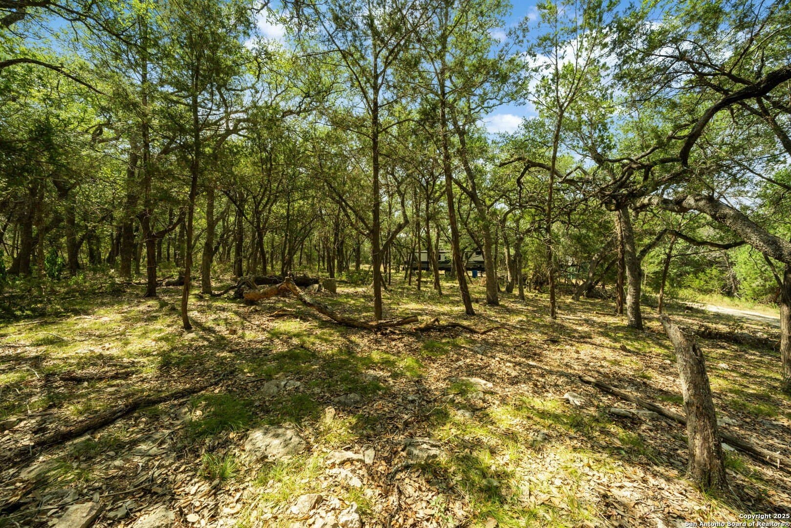 3.27 acres in Comal County gallery image 3