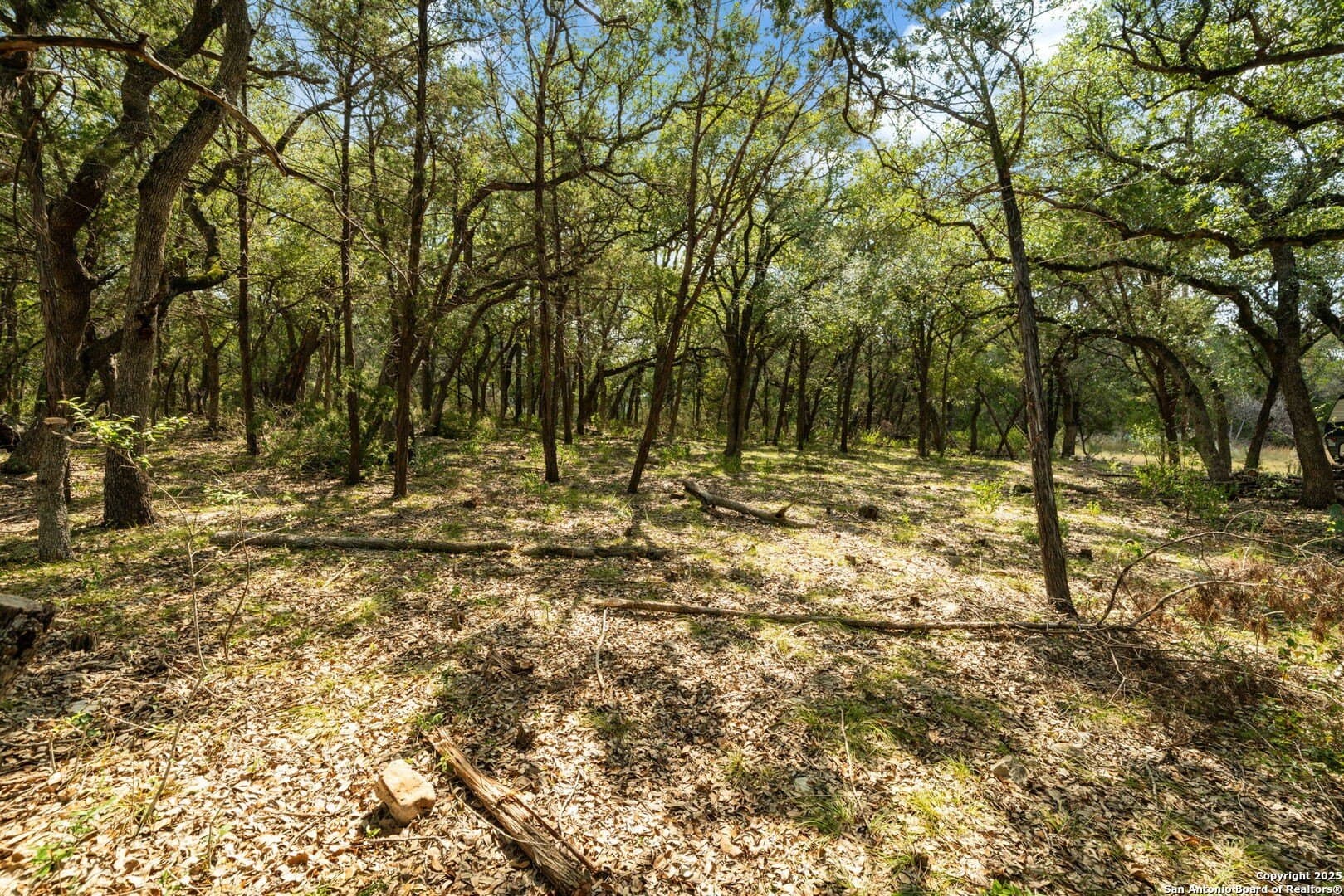 3.27 acres in Comal County - photo 11