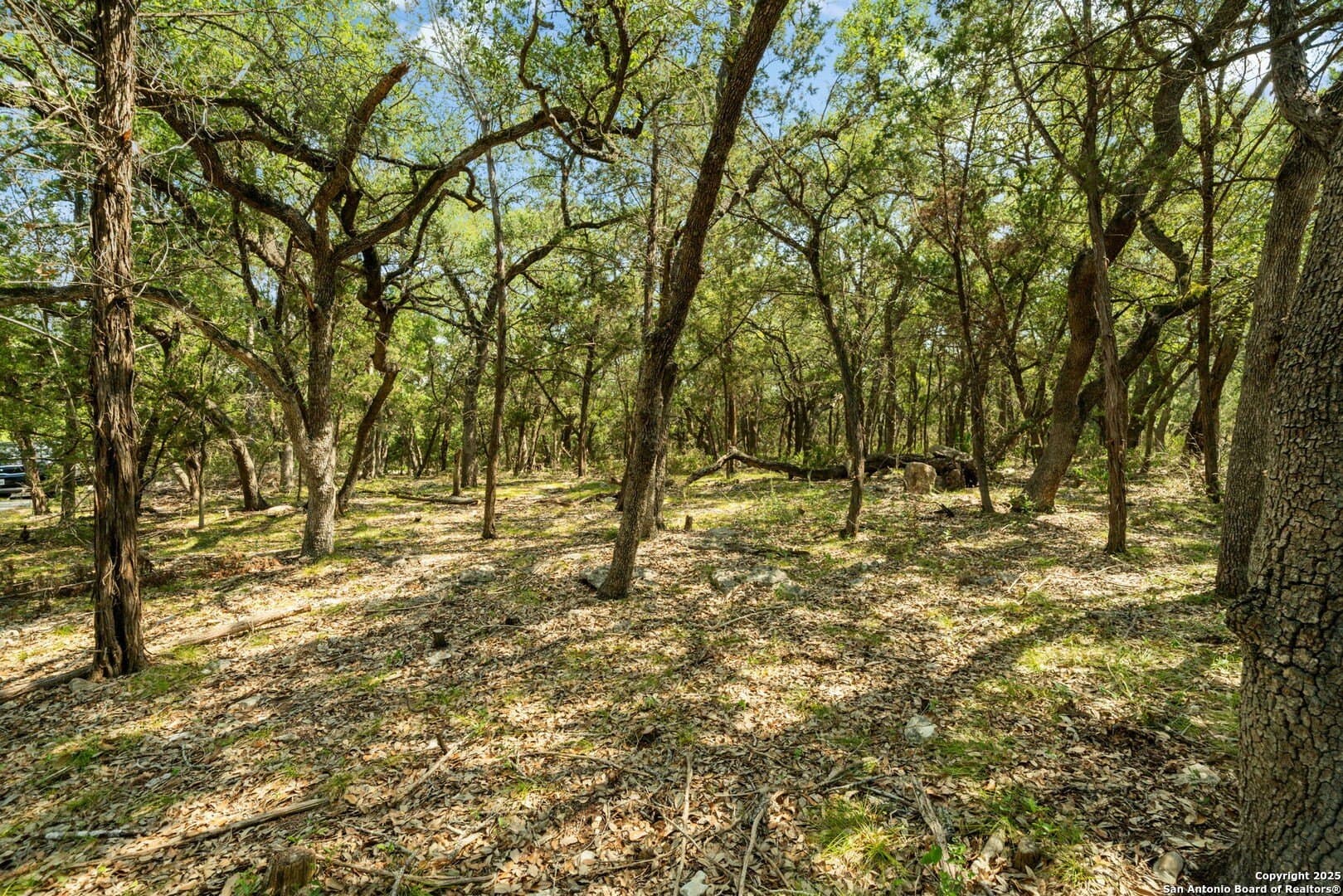 3.27 acres in Comal County - photo 10