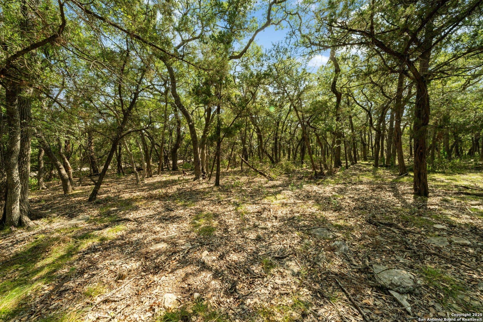 3.27 acres in Comal County gallery image 4