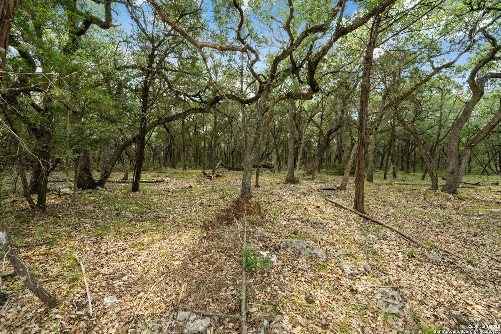 3.27 acres in Comal County - photo 12