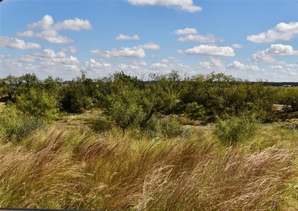 47.46 acres in McCulloch County gallery image 4