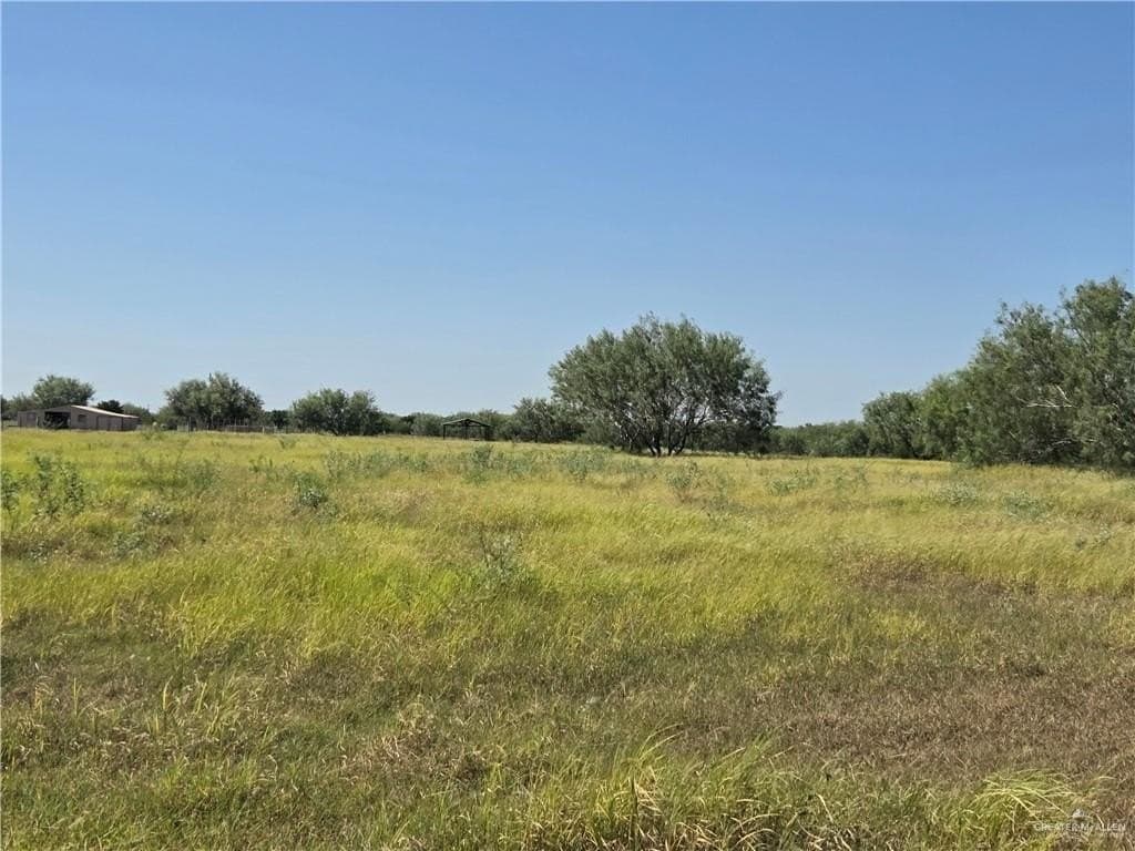 10 acres in Hidalgo County - photo 6