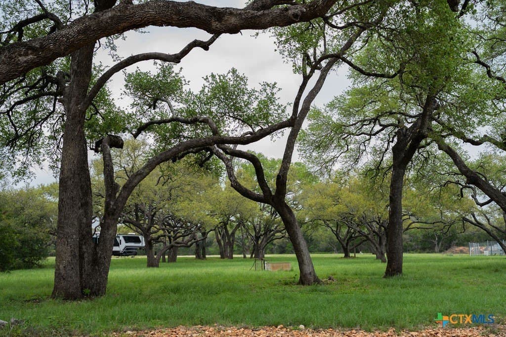 21 acres in Comal County - photo 9