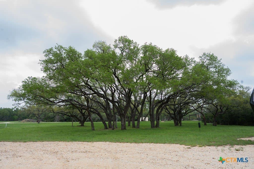 21 acres in Comal County - photo 33