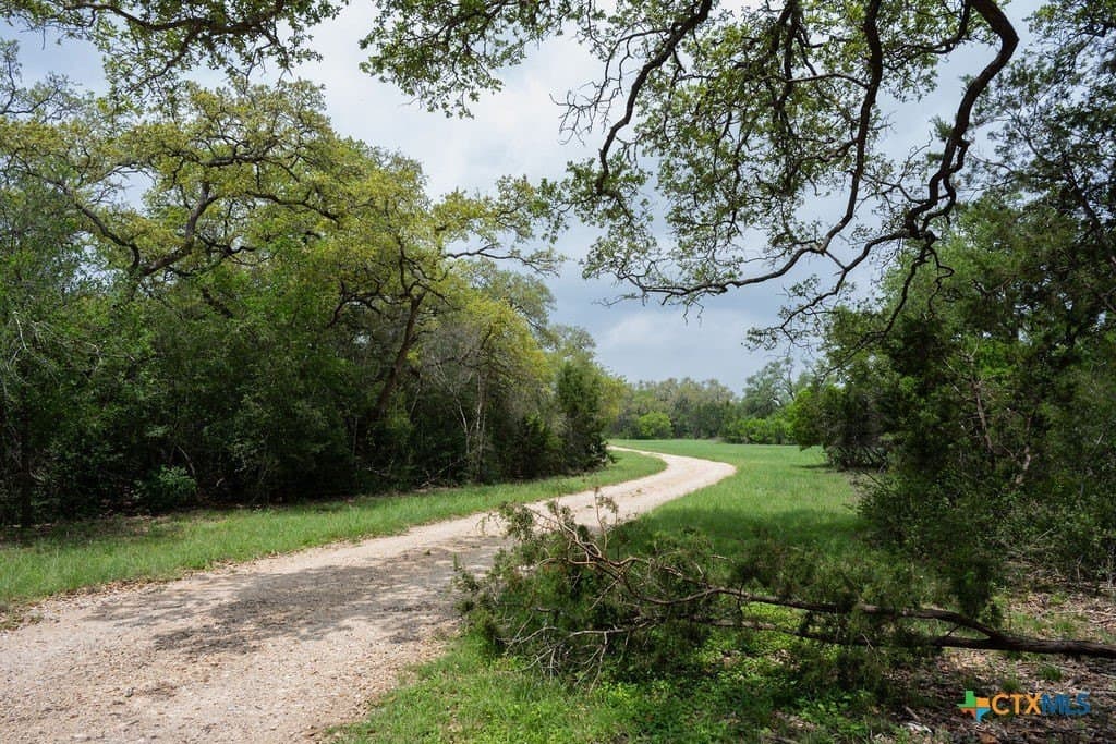 21 acres in Comal County - photo 21
