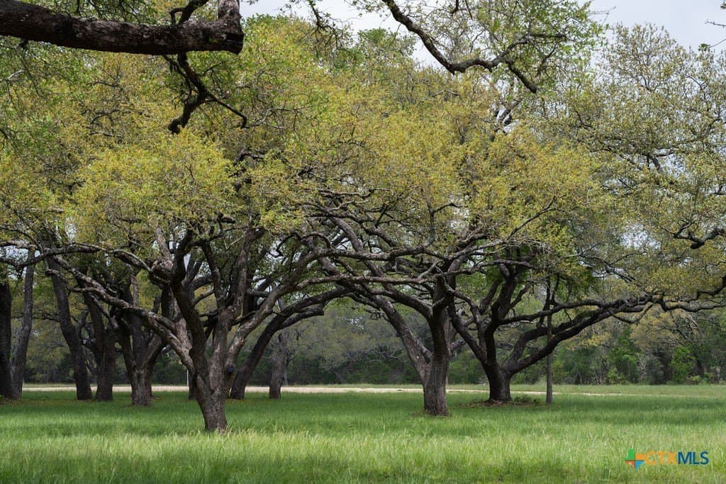 21 acres in Comal County - photo 12