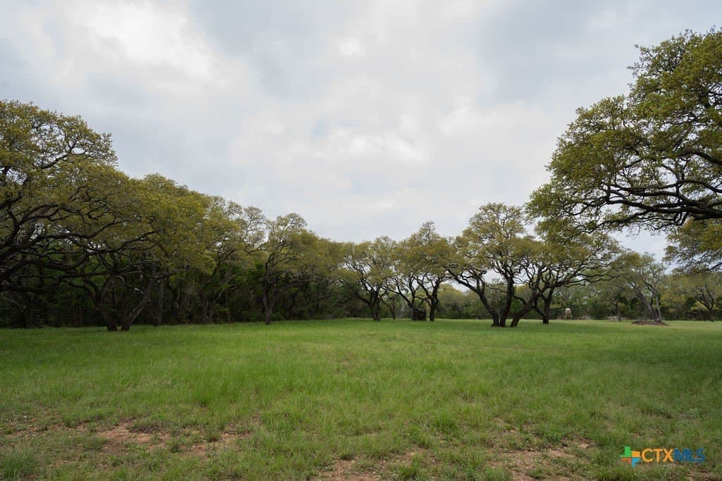 21 acres in Comal County - photo 31