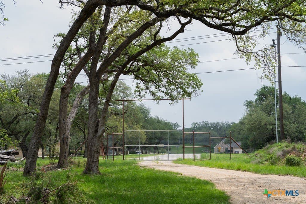 21 acres in Comal County gallery image 3
