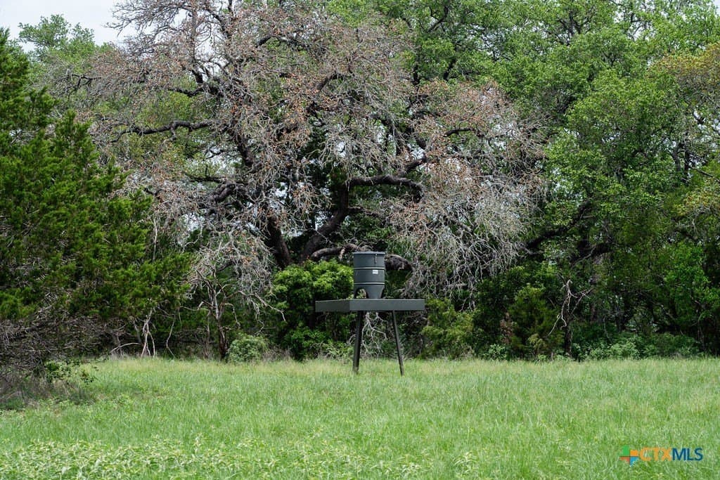 21 acres in Comal County - photo 14