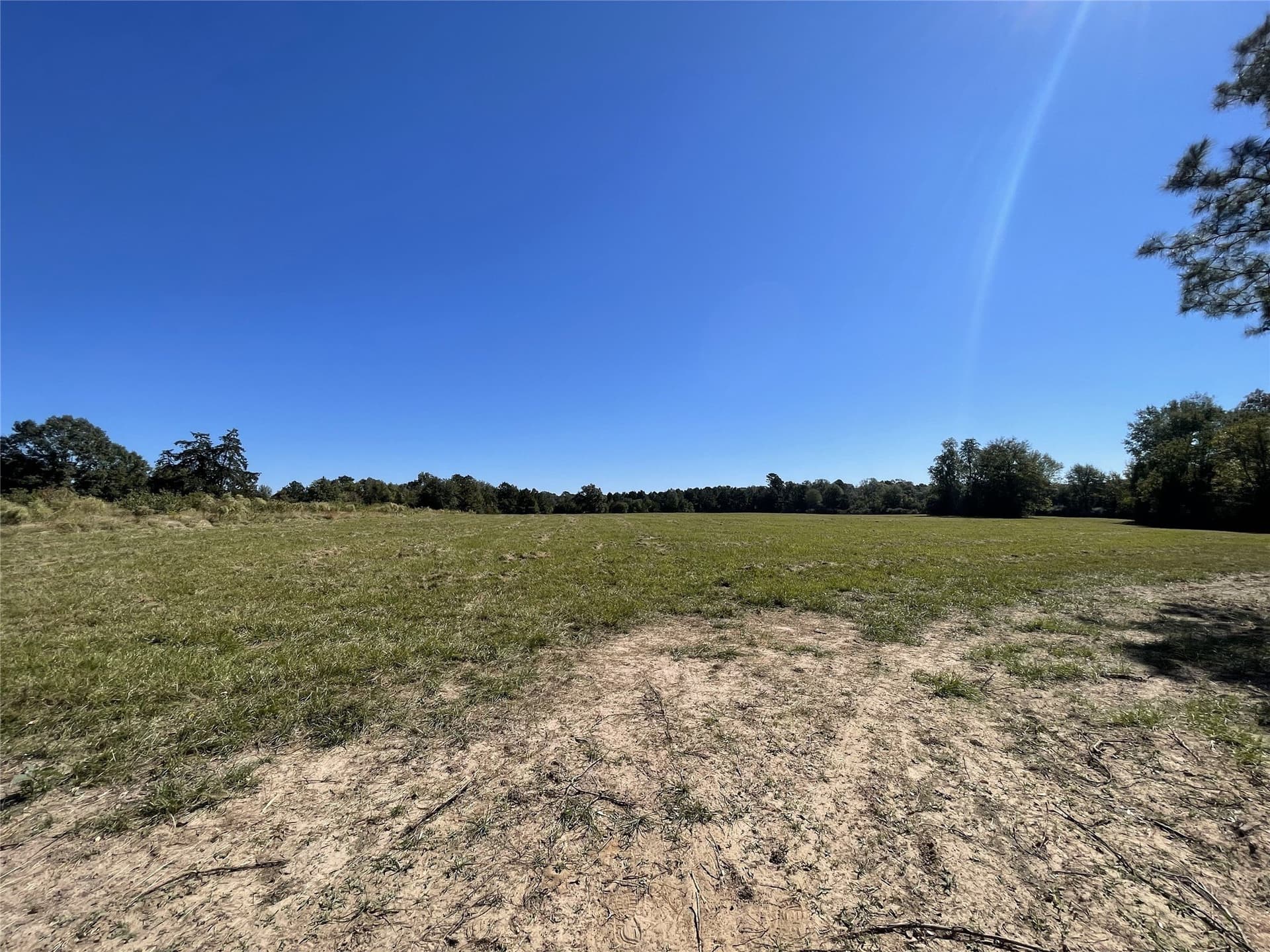 20 acres in Shelby County - photo 4