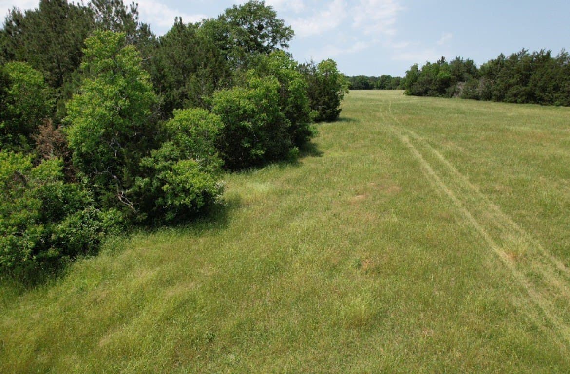 20 acres in Shelby County - photo 7