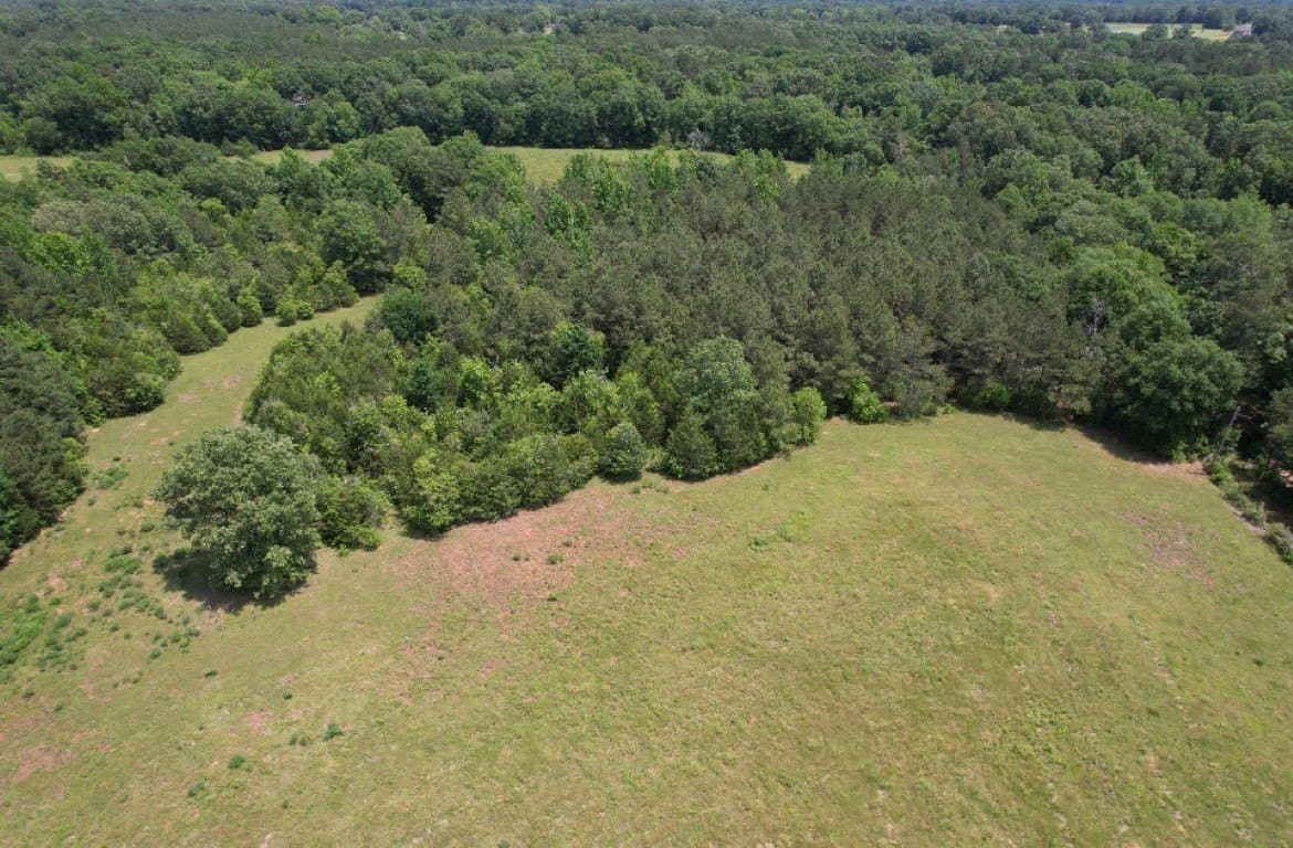 20 acres in Shelby County - photo 5