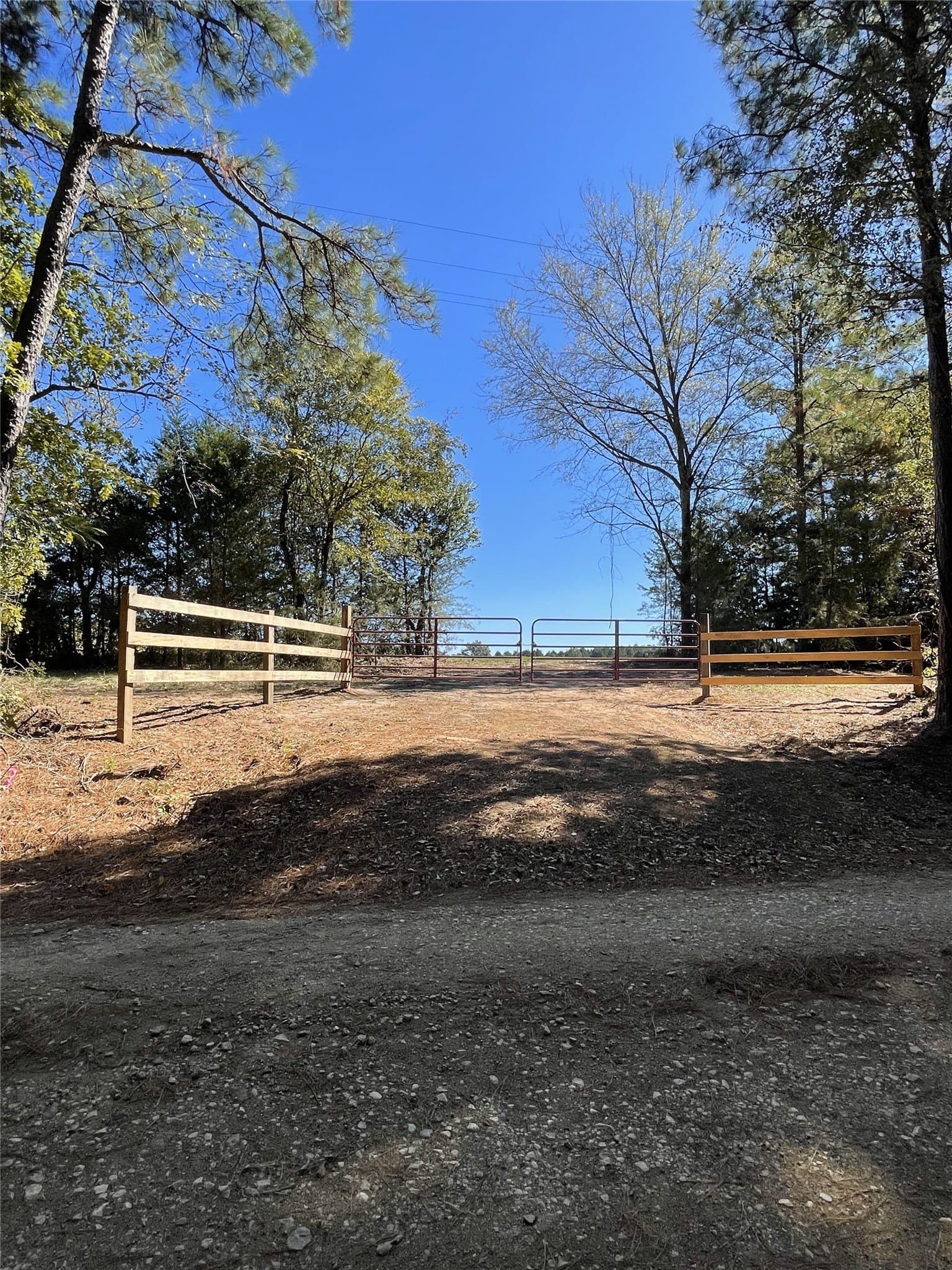 20 acres in Shelby County - photo 3