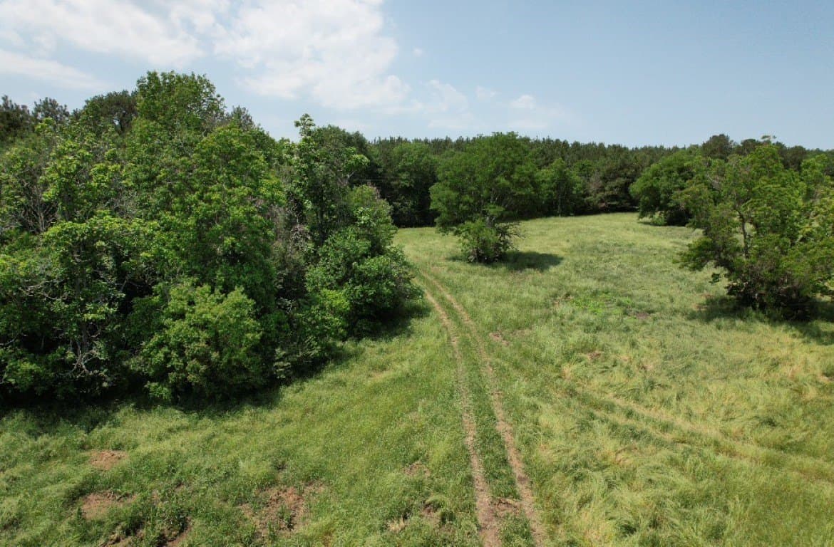20 acres in Shelby County - photo 2