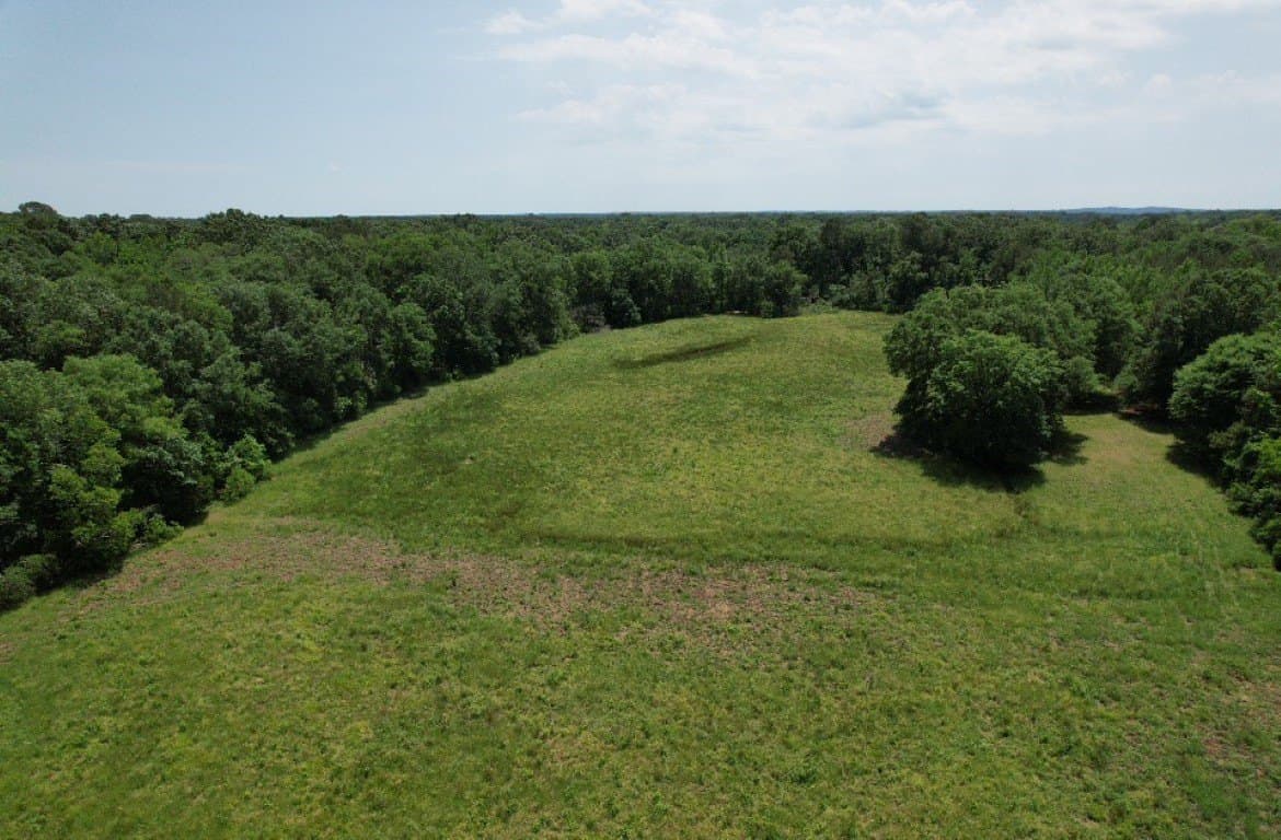 20 acres in Shelby County - photo 8