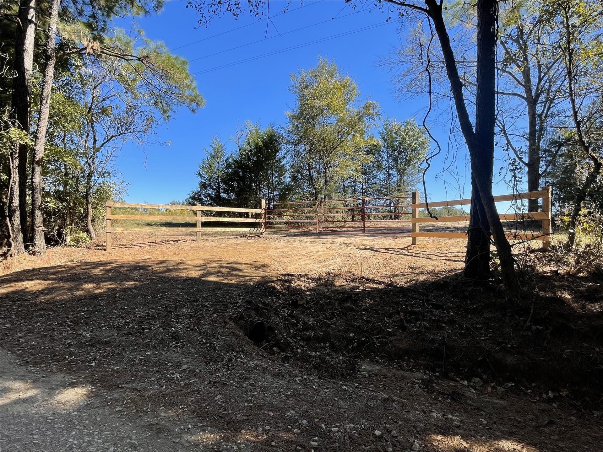 20 acres in Shelby County