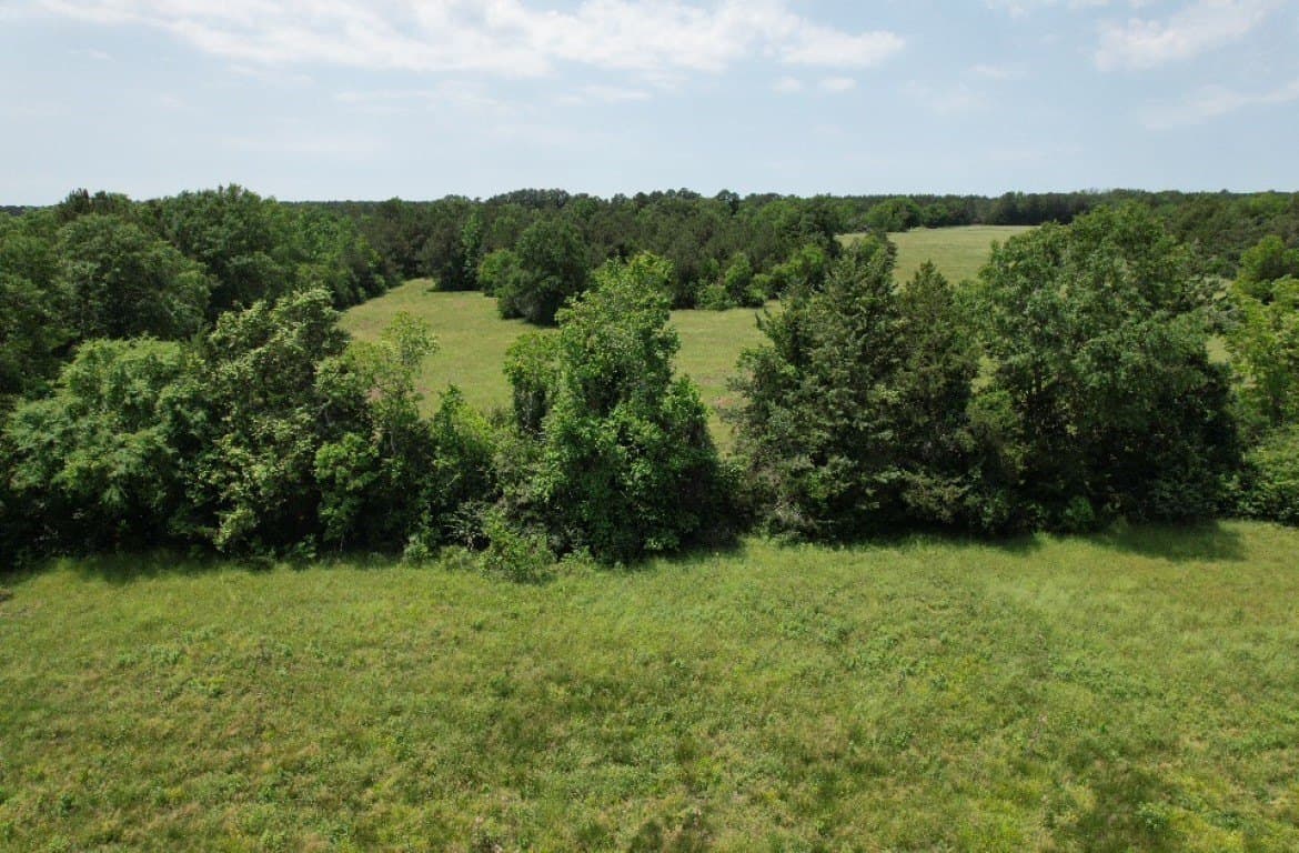 20 acres in Shelby County - photo 9