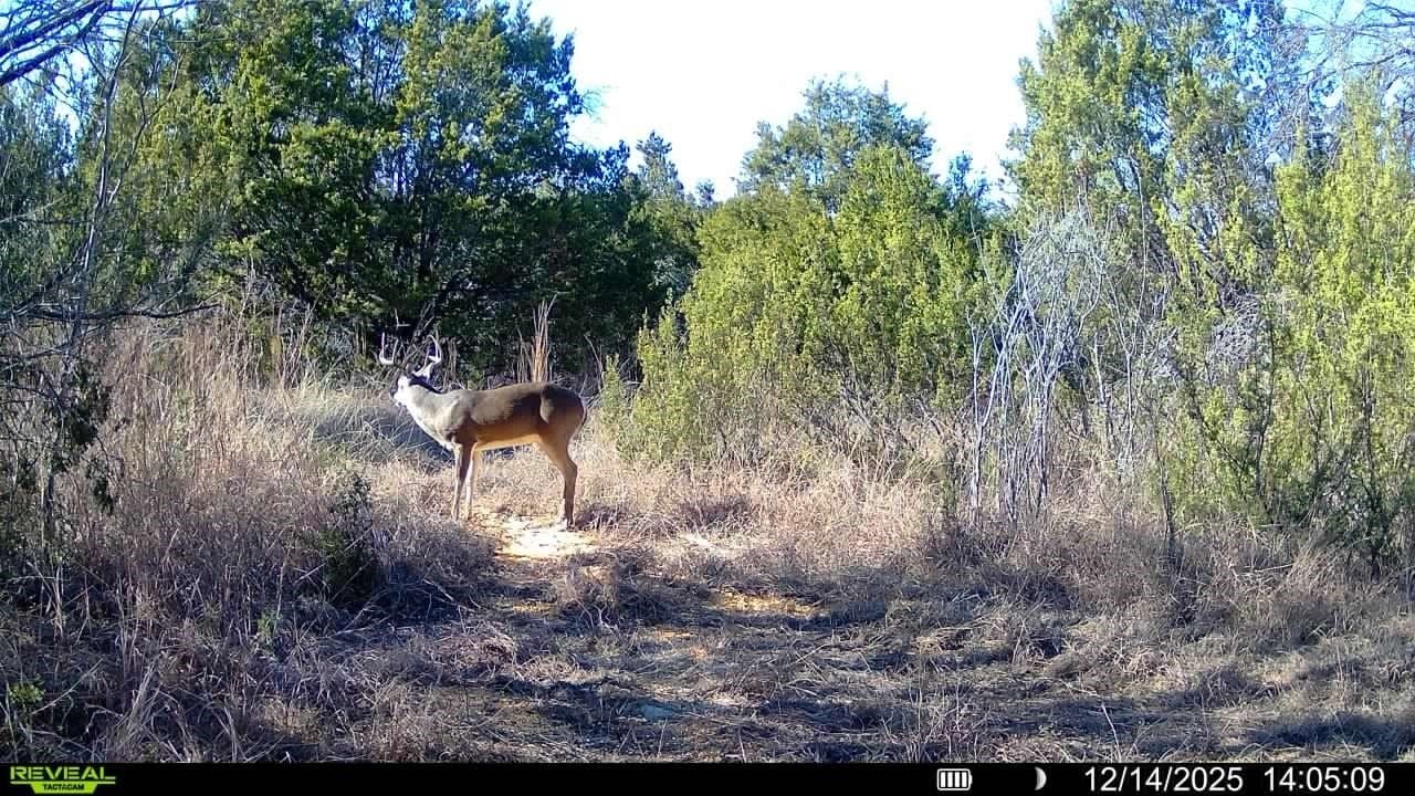 140.85 acres in Erath County - photo 10
