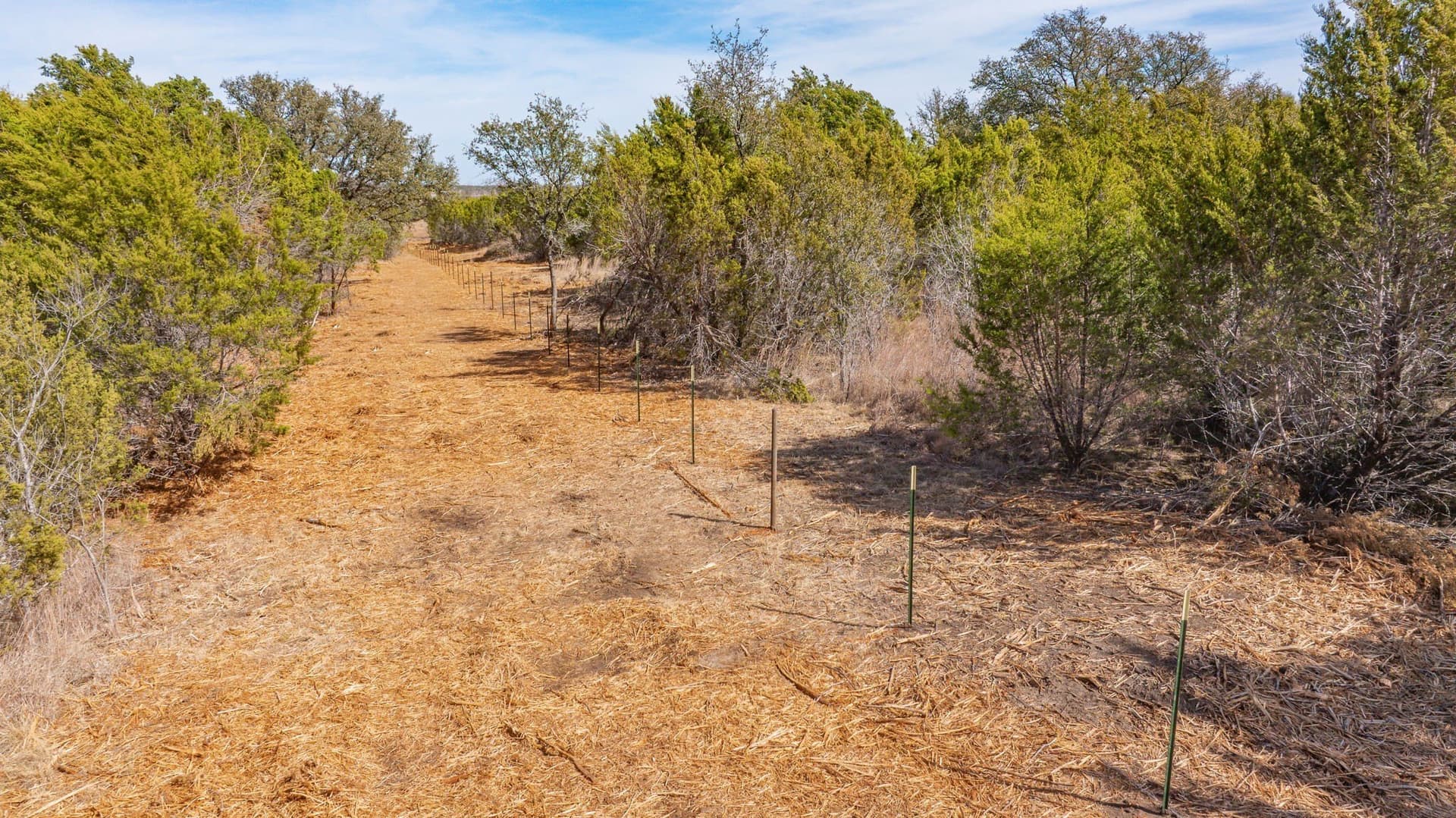 140.85 acres in Erath County - photo 32