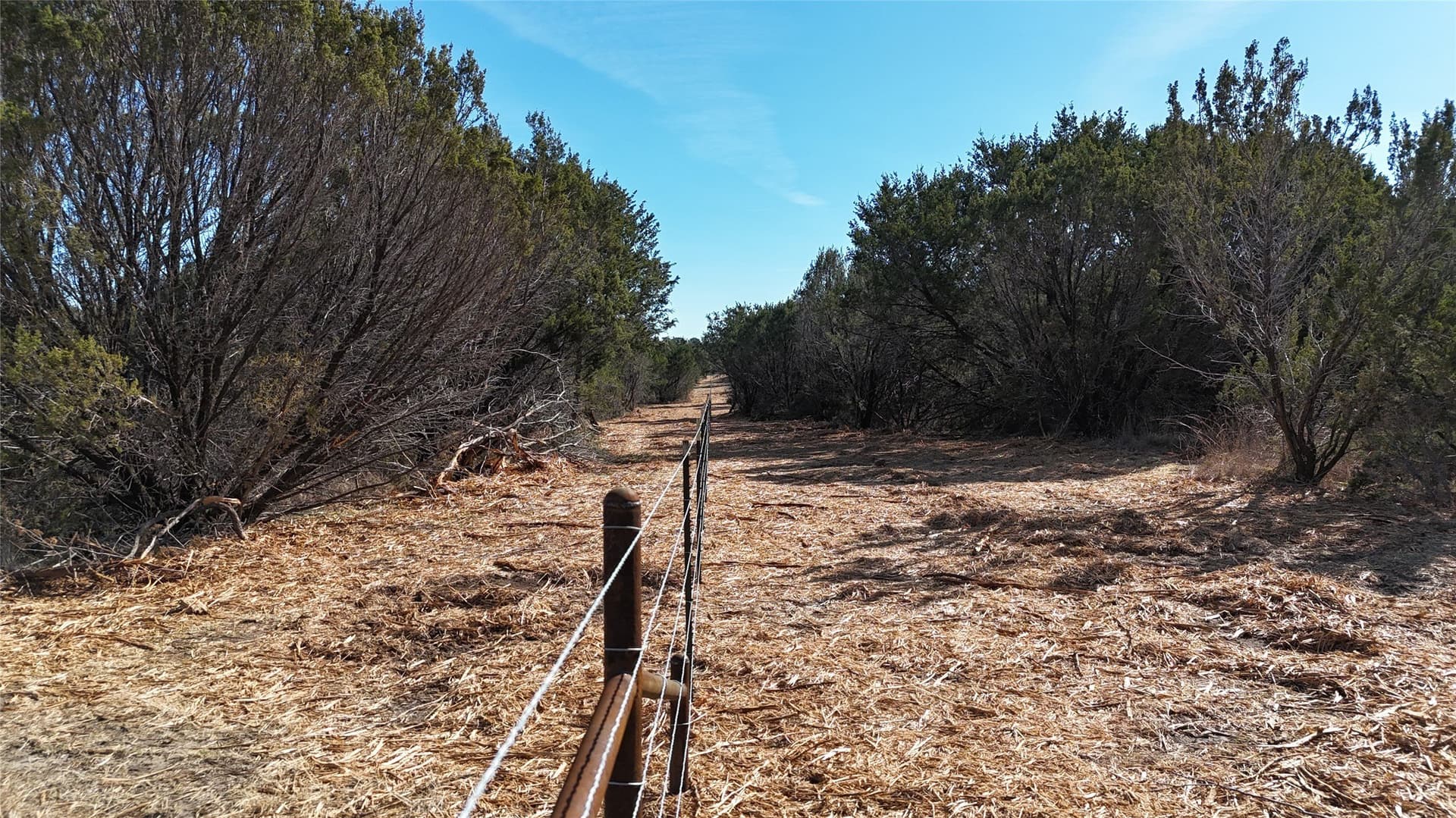 140.85 acres in Erath County - photo 31
