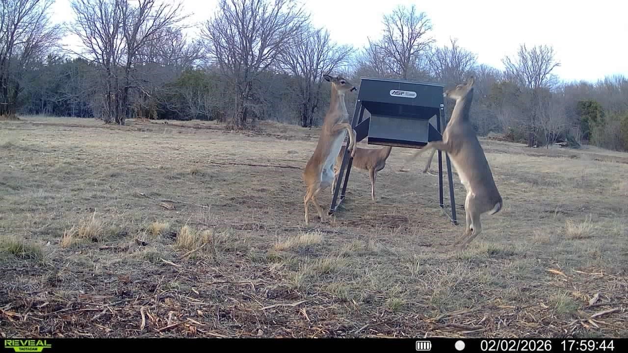 140.85 acres in Erath County gallery image 2