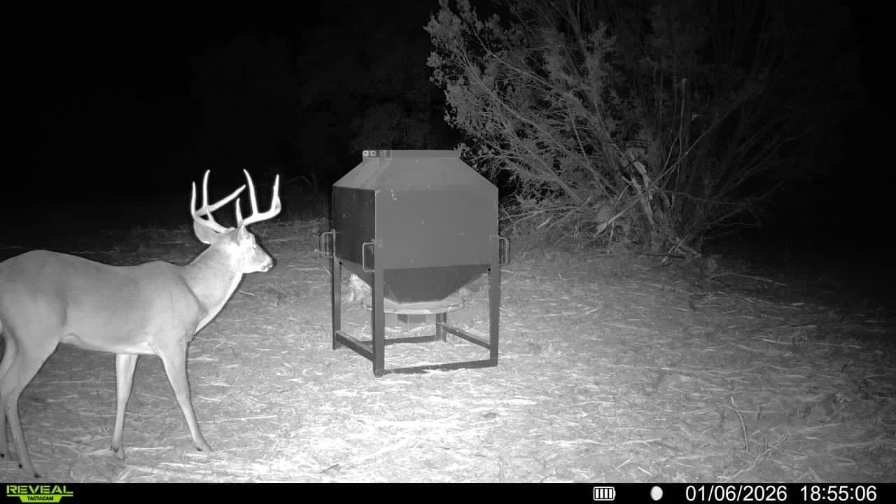 140.85 acres in Erath County - photo 8