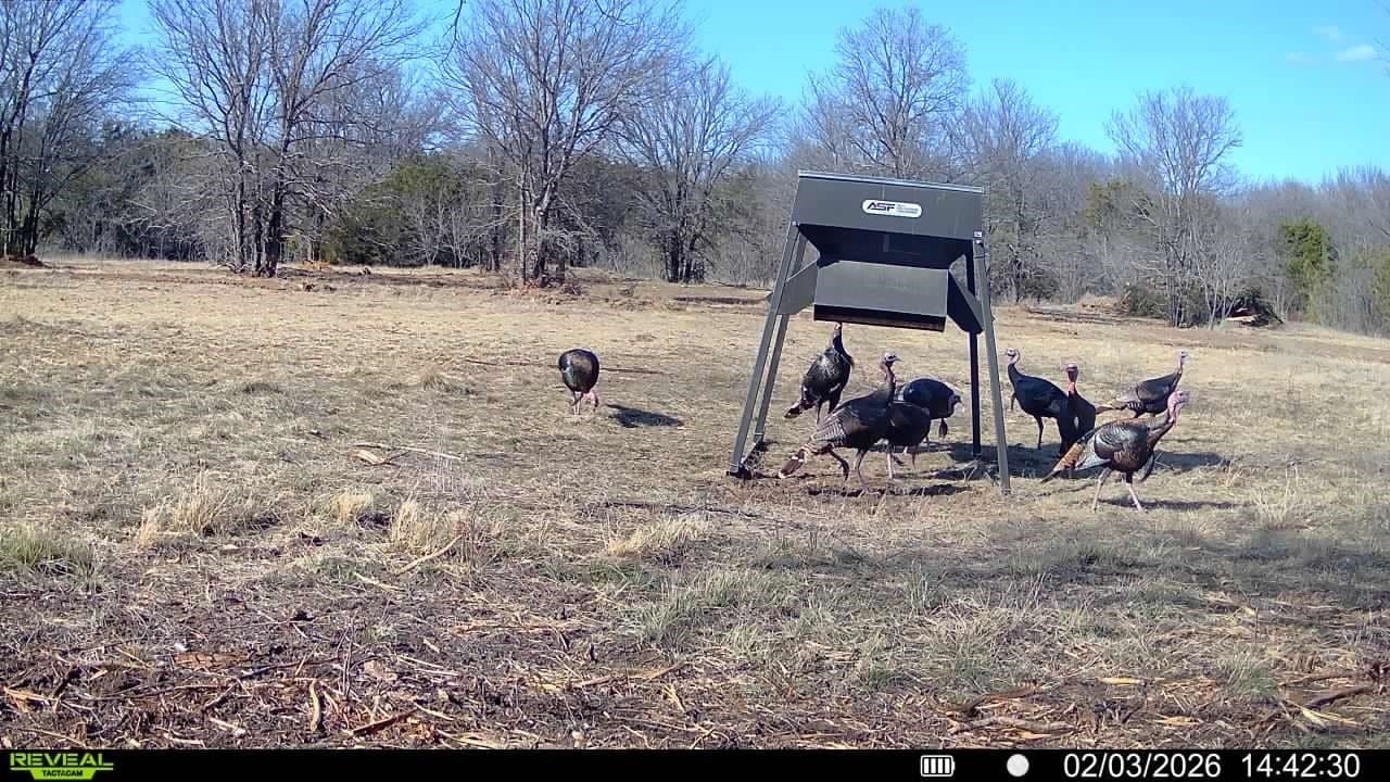 140.85 acres in Erath County - photo 7