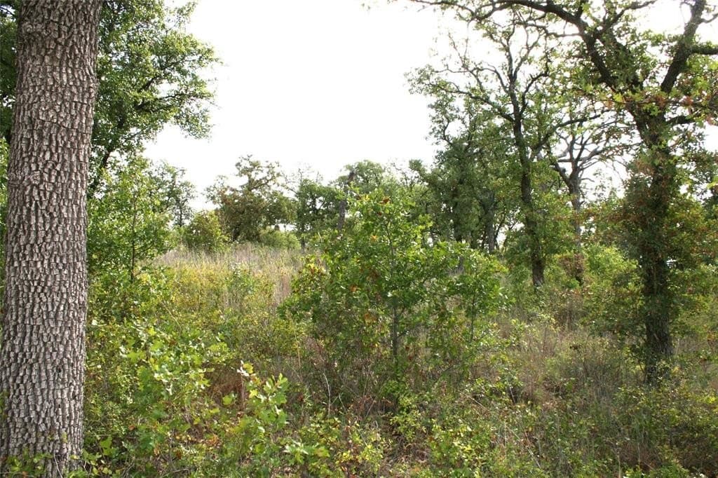 1.06 acres in Palo Pinto County gallery image 2