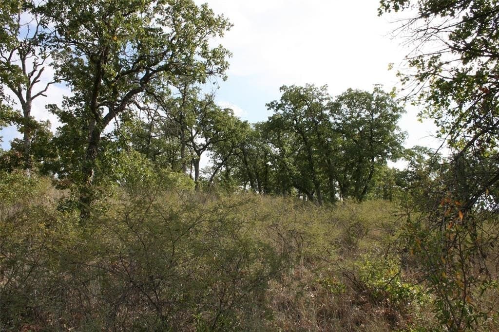 1.06 acres in Palo Pinto County gallery image 3