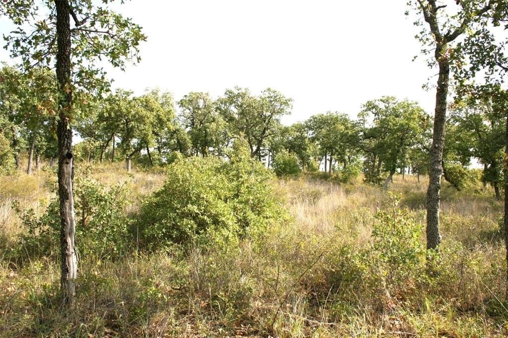 1.06 acres in Palo Pinto County