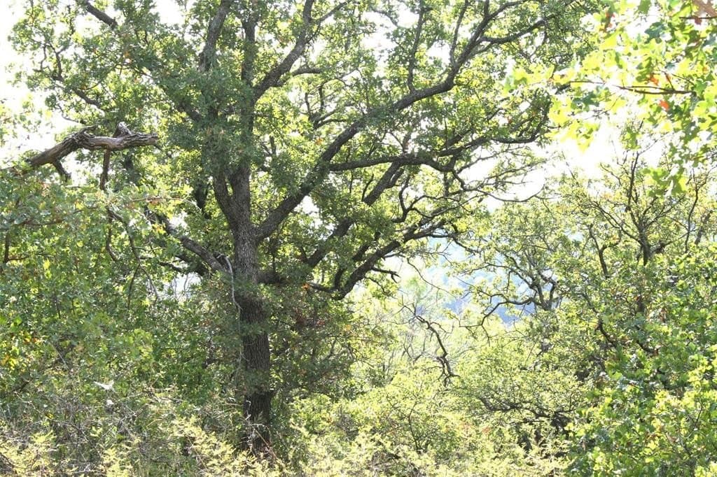 1.06 acres in Palo Pinto County featured view